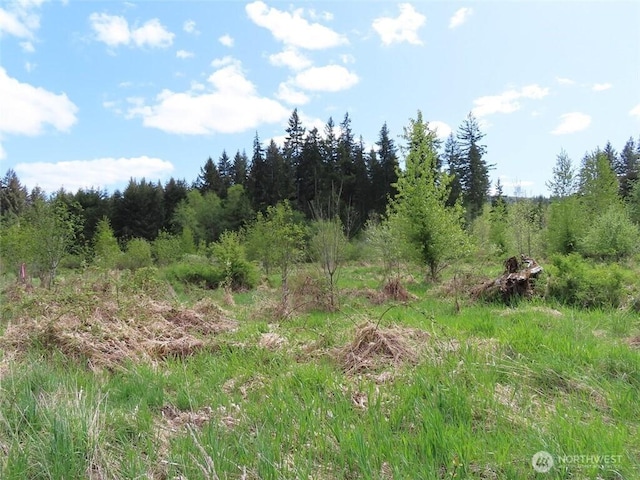 3898 State Route 6, Chehalis, WA 98532 - photo 26