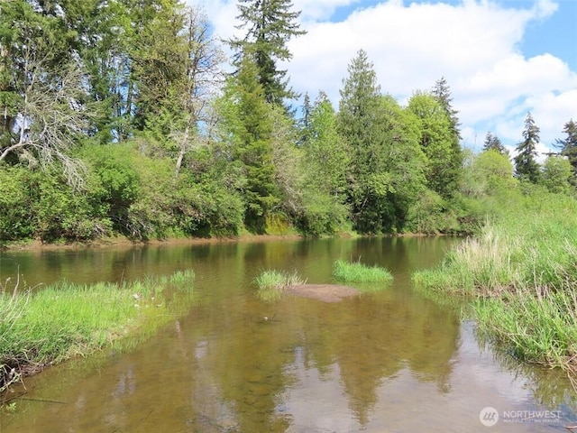 3898 State Route 6, Chehalis, WA 98532 - photo 28