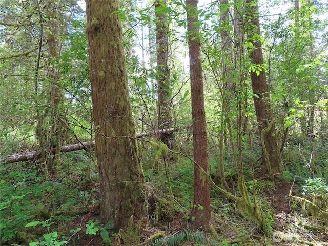 3898 State Route 6, Chehalis, WA 98532 - photo 29