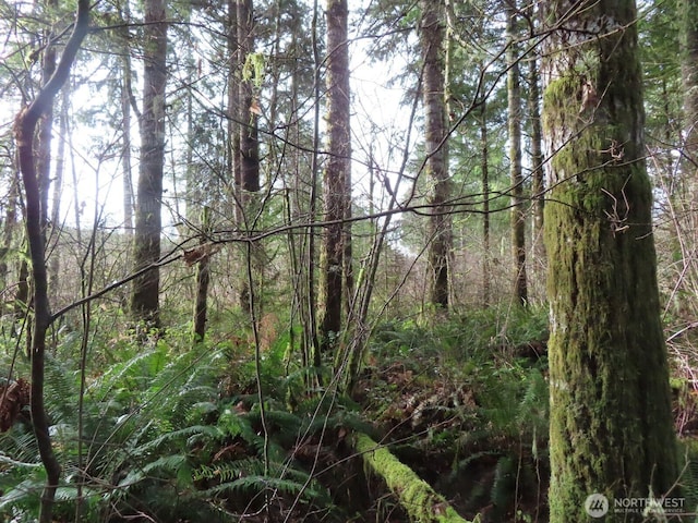 3898 State Route 6, Chehalis, WA 98532 - photo 30