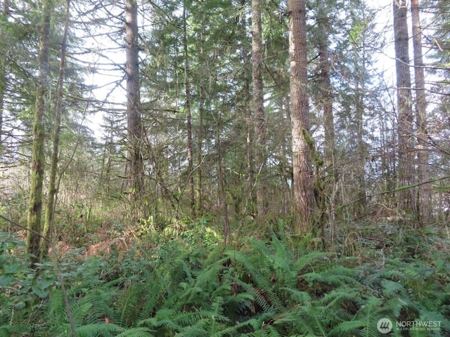 3898 State Route 6, Chehalis, WA 98532 - photo 31