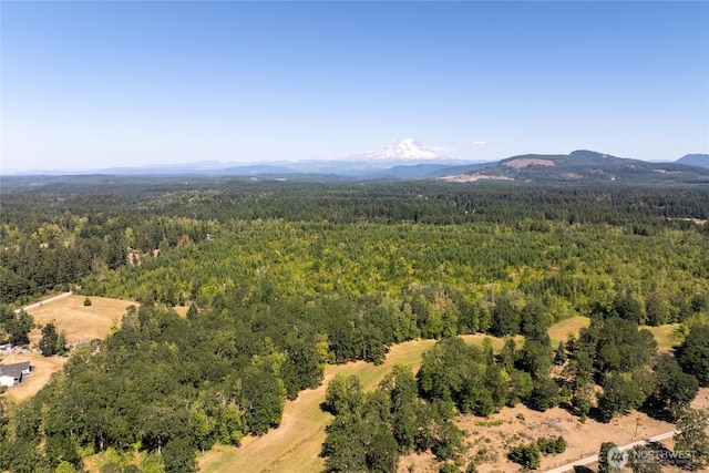 0 173rd Ave SE, Yelm, WA 98597 - photo 3