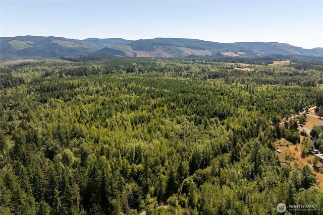 0 173rd Ave SE, Yelm, WA 98597 - photo 11