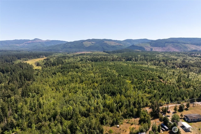 0 173rd Ave SE, Yelm, WA 98597 - photo 12