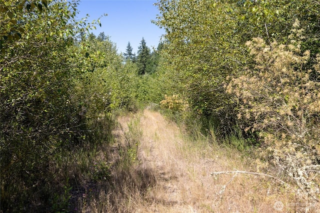 0 173rd Ave SE, Yelm, WA 98597 - photo 13