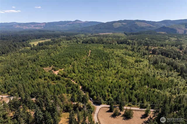 0 173rd Ave SE, Yelm, WA 98597 - photo 15