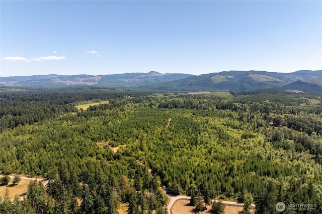 0 173rd Ave SE, Yelm, WA 98597 - photo 16