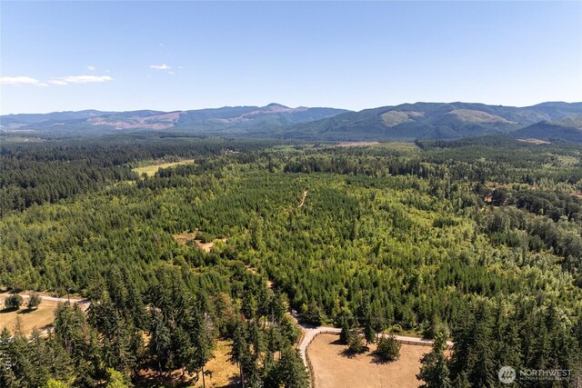 0 173rd Ave SE, Yelm, WA 98597 - photo 17
