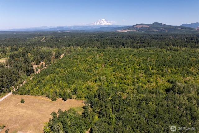 0 173rd Ave SE, Yelm, WA 98597 - photo 19