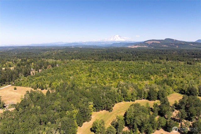 0 173rd Ave SE, Yelm, WA 98597 - photo 20