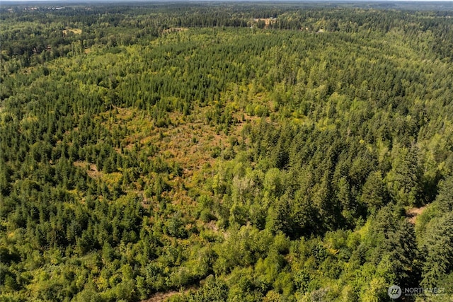 0 173rd Ave SE, Yelm, WA 98597 - photo 24