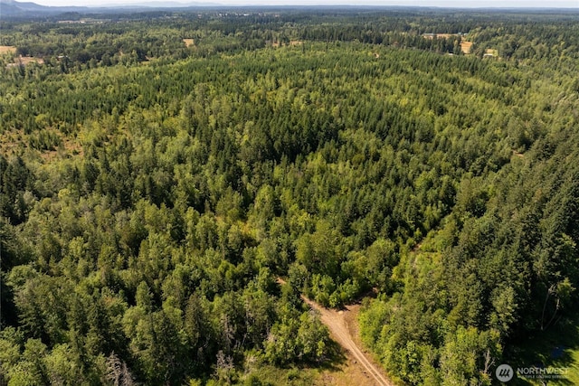 0 173rd Ave SE, Yelm, WA 98597 - photo 25