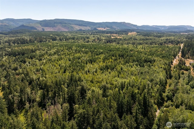 0 173rd Ave SE, Yelm, WA 98597 - photo 26
