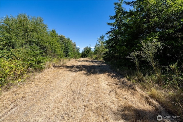 0 173rd Ave SE, Yelm, WA 98597 - photo 27