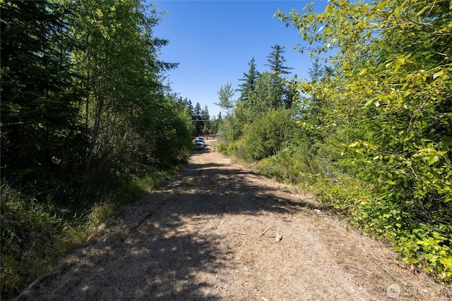 0 173rd Ave SE, Yelm, WA 98597 - photo 28