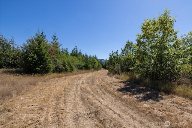0 173rd Ave SE, Yelm, WA 98597 - photo 30