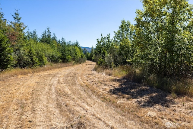 0 173rd Ave SE, Yelm, WA 98597 - photo 31