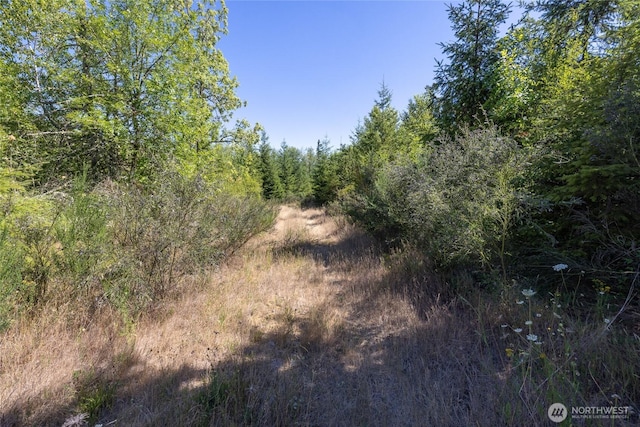 0 173rd Ave SE, Yelm, WA 98597 - photo 32