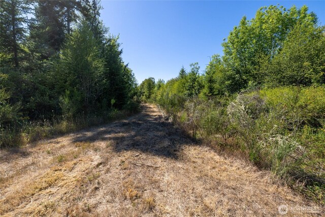0 173rd Ave SE, Yelm, WA 98597 - photo 33
