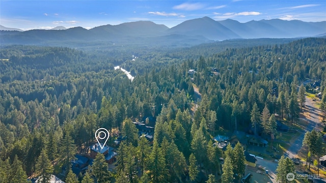 771 Kokanee Loop, Cle Elum, WA 98922 - photo 33