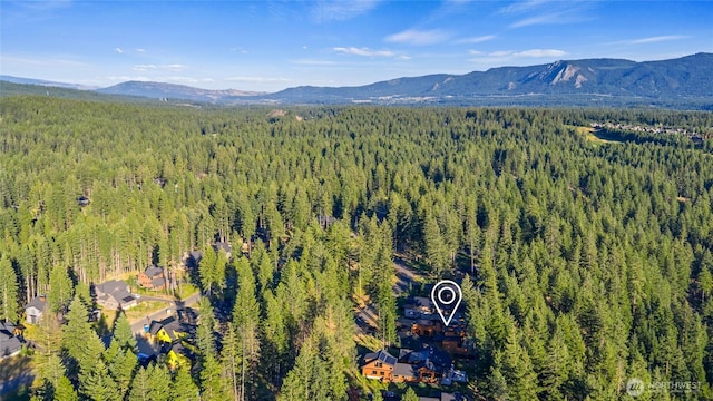 771 Kokanee Loop, Cle Elum, WA 98922 - photo 31