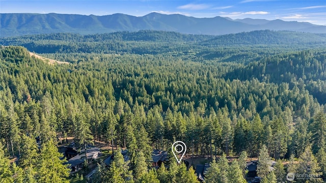 771 Kokanee Loop, Cle Elum, WA 98922 - photo 32