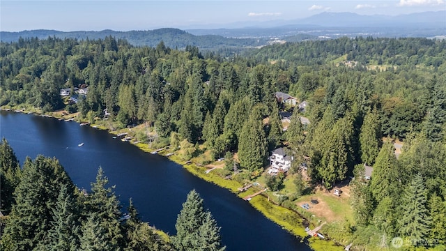 21732 E Lost Lake Rd, Snohomish, WA 98296 - photo 4