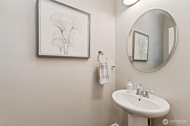 4000 174th St SE, Bothell, WA 98012 - photo 17