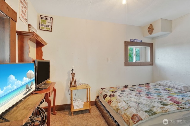 233 NE Washington Ave, Chehalis, WA 98532 - photo 29