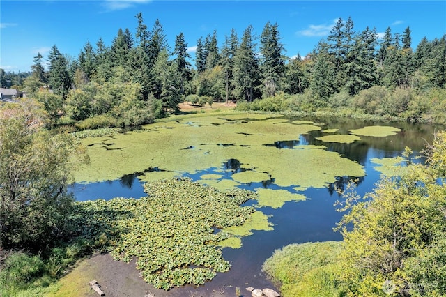 23455 140th Ave SE, Kent, WA 89042 - photo 2