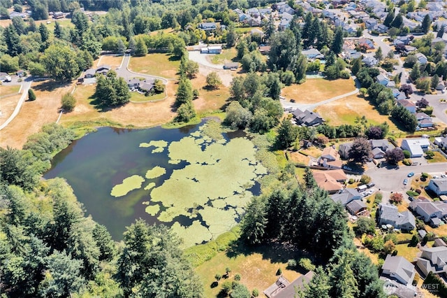 23455 140th Ave SE, Kent, WA 89042 - photo 23