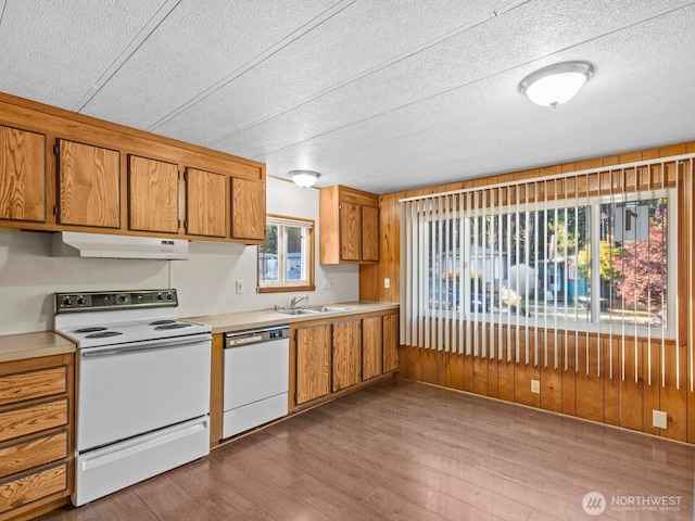 13119 17th Ave W Unit 1, Everett, WA 98204 - photo 9