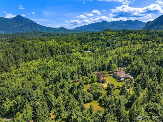 42520 SE 149th Pl, North Bend, WA 98045 - photo 37