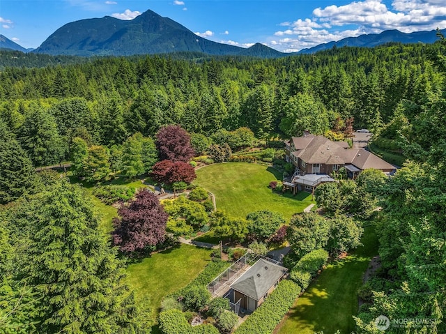 42520 SE 149th Pl, North Bend, WA 98045 - photo 35