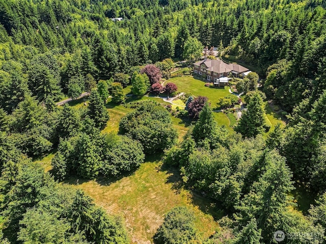 42520 SE 149th Pl, North Bend, WA 98045 - photo 36