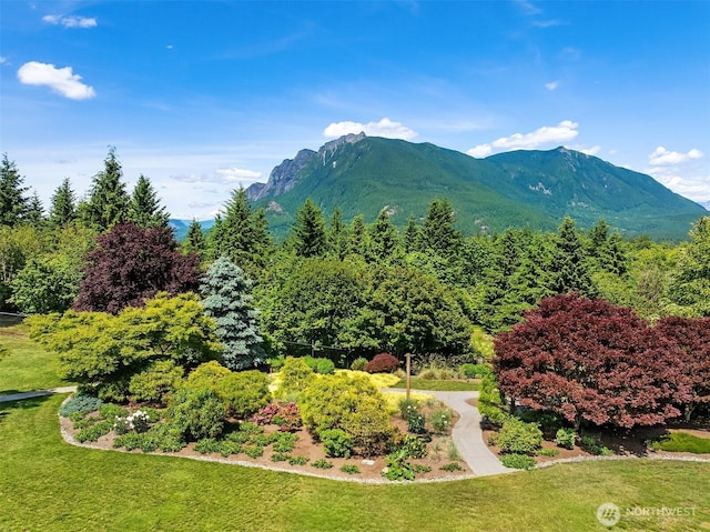 42520 SE 149th Pl, North Bend, WA 98045 - photo 19