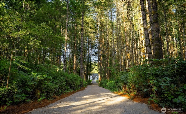 19680 Noll Rd, Poulsbo, WA 98370 - photo 2