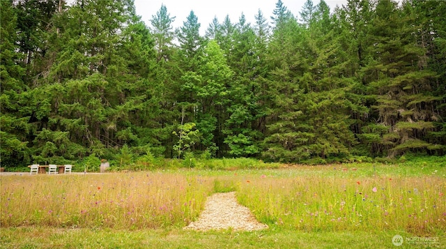 19680 Noll Rd, Poulsbo, WA 98370 - photo 3