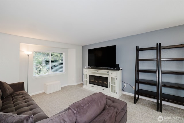 1050 NE Larson Blvd, Belfair, WA 98528 - photo 7