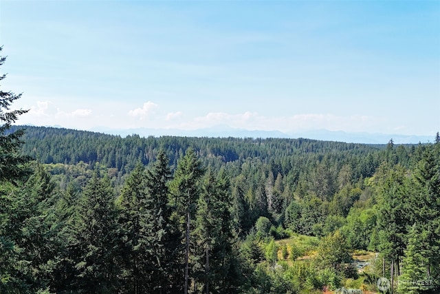 1050 NE Larson Blvd, Belfair, WA 98528 - photo 36