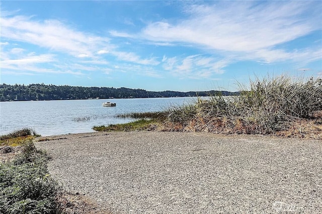 1050 NE Larson Blvd, Belfair, WA 98528 - photo 37