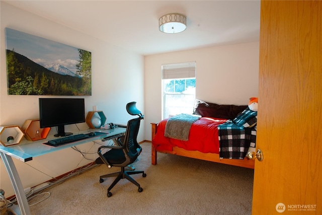 6204 145th St SE, Everett, WA 98208 - photo 15