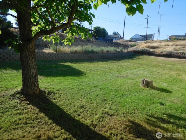 135 N 3rd Ave, Connell, WA 99326 - photo 8