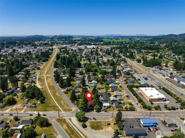 320 Township St, Sedro Woolley, WA 98284 - photo 38