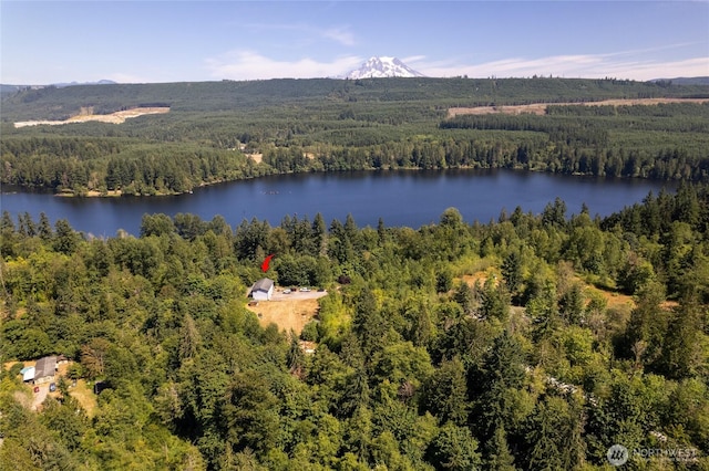 31410 Orville Rd E, Graham, WA 98338 - photo 2