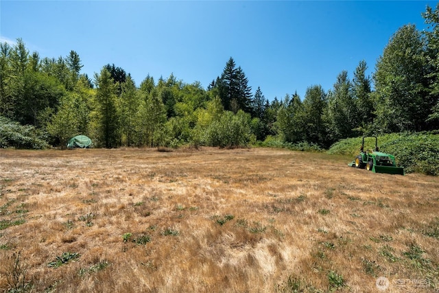 31410 Orville Rd E, Graham, WA 98338 - photo 32
