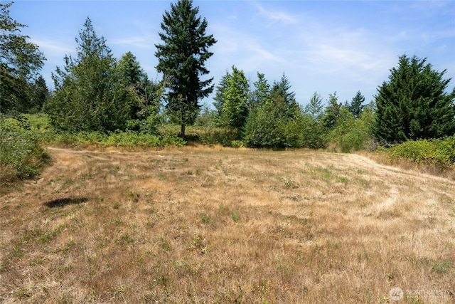 31410 Orville Rd E, Graham, WA 98338 - photo 35