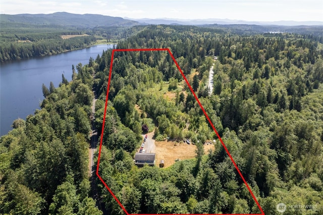 31410 Orville Rd E, Graham, WA 98338 - photo 36