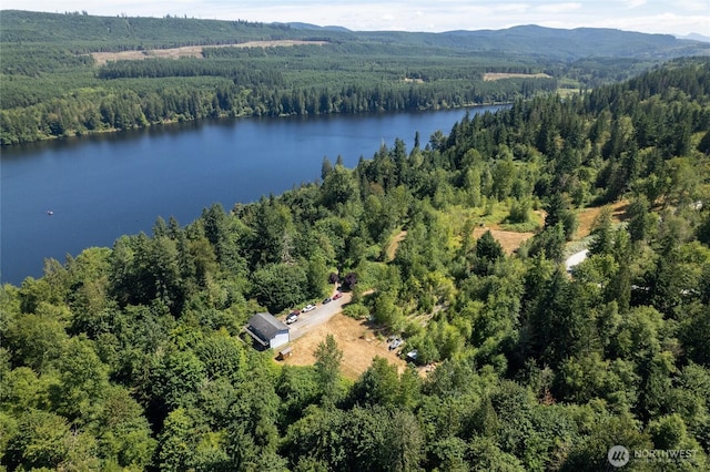 31410 Orville Rd E, Graham, WA 98338 - photo 37