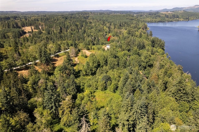 31410 Orville Rd E, Graham, WA 98338 - photo 38